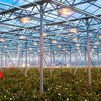 Увлажнение воздуха Увлажнение воздуха