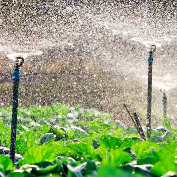 Орошение Орошение