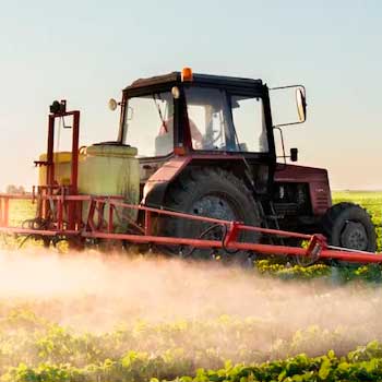 Сельское хозяйство Сельское хозяйство