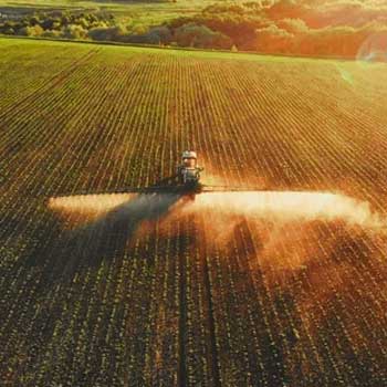 Сельское хозяйство Сельское хозяйство